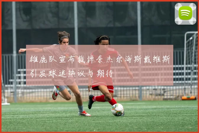 雄鹿队宣布裁掉奈杰尔海斯戴维斯引发球迷热议与期待